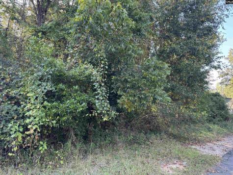 000 Quattlebaum Avenue Ridge Spring SC 29129