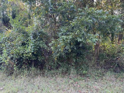 000 Quattlebaum Avenue Ridge Spring SC 29129