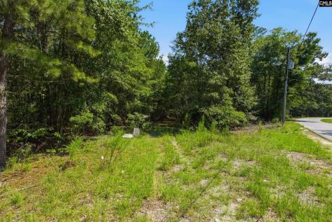 0 Shillings Bridge Road Orangeburg SC 29115