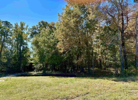 440 Craftsman Court Lexington SC 29072