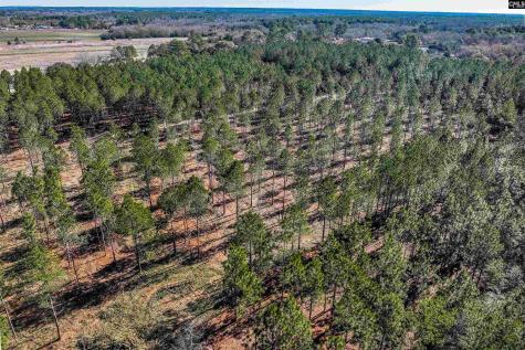 Lot #5 Fairview Road 008200-07-010 Batesburg SC 29006