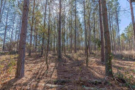 Lot #5 Fairview Road 008200-07-010 Batesburg SC 29006