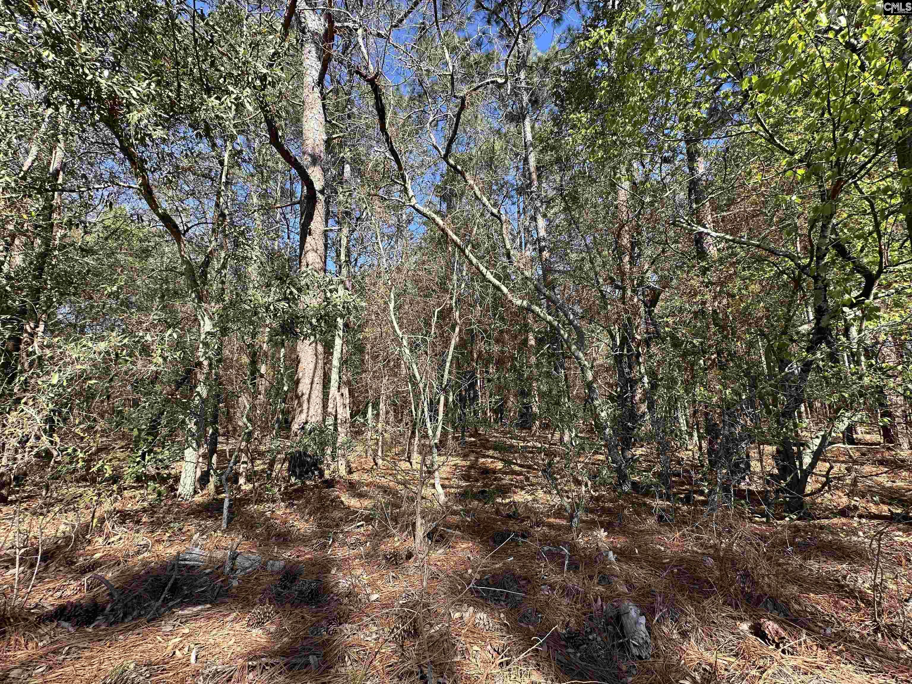 Lot 2 Mimosa Drive Gaston SC 29053