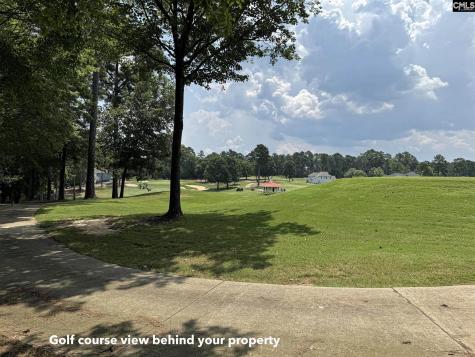 1240 Coogler Crossing Drive Blythewood SC 29016