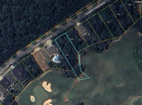 1240 Coogler Crossing Drive Blythewood SC 29016