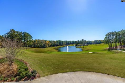 1240 Coogler Crossing Drive Blythewood SC 29016