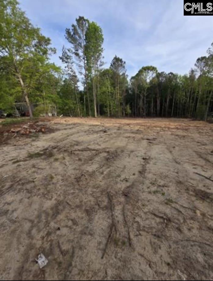 0 Timber Lane Orangeburg SC 29118