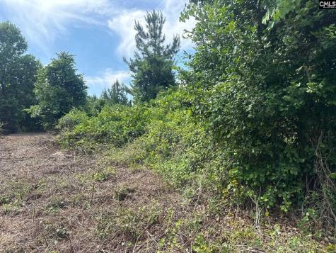 Mpf 1 State Rd S-28-31 Road Jefferson SC 29718