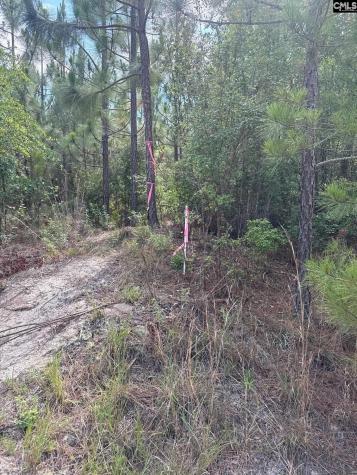 Mpf 1 State Rd S-28-31 Road Jefferson SC 29718
