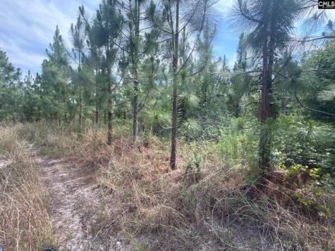 Mpf 1 State Rd S-28-31 Road Jefferson SC 29718