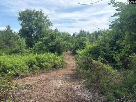 Mpf 1 State Rd S-28-31 Road Jefferson SC 29718