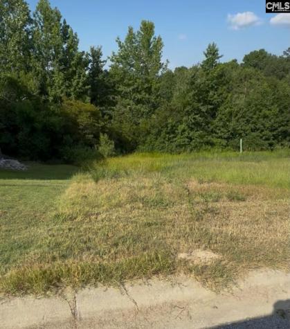 421 Bosque Circle Blythewood SC 29016