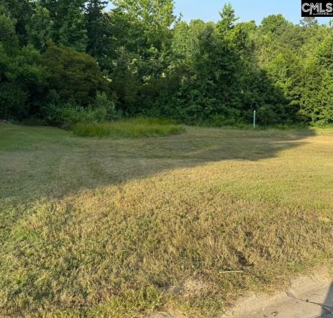 421 Bosque Circle Blythewood SC 29016