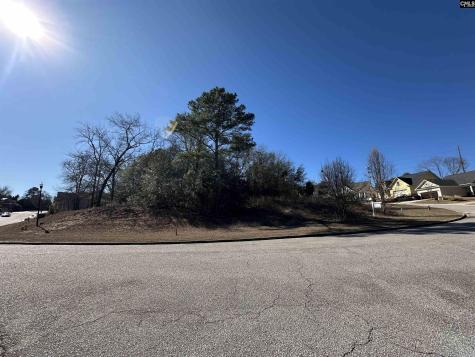 122 Mayhaw Drive Columbia SC 29206