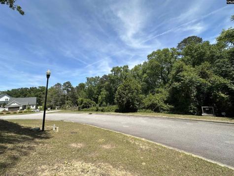 122 Mayhaw Drive Columbia SC 29206