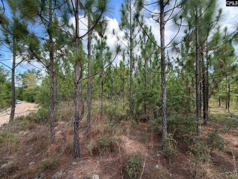 Btf 7 Bradley Trail Jefferson SC 29067