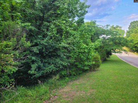0 River Ridge Road Columbia SC 29210