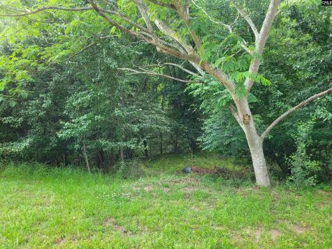 0 River Ridge Road Columbia SC 29210