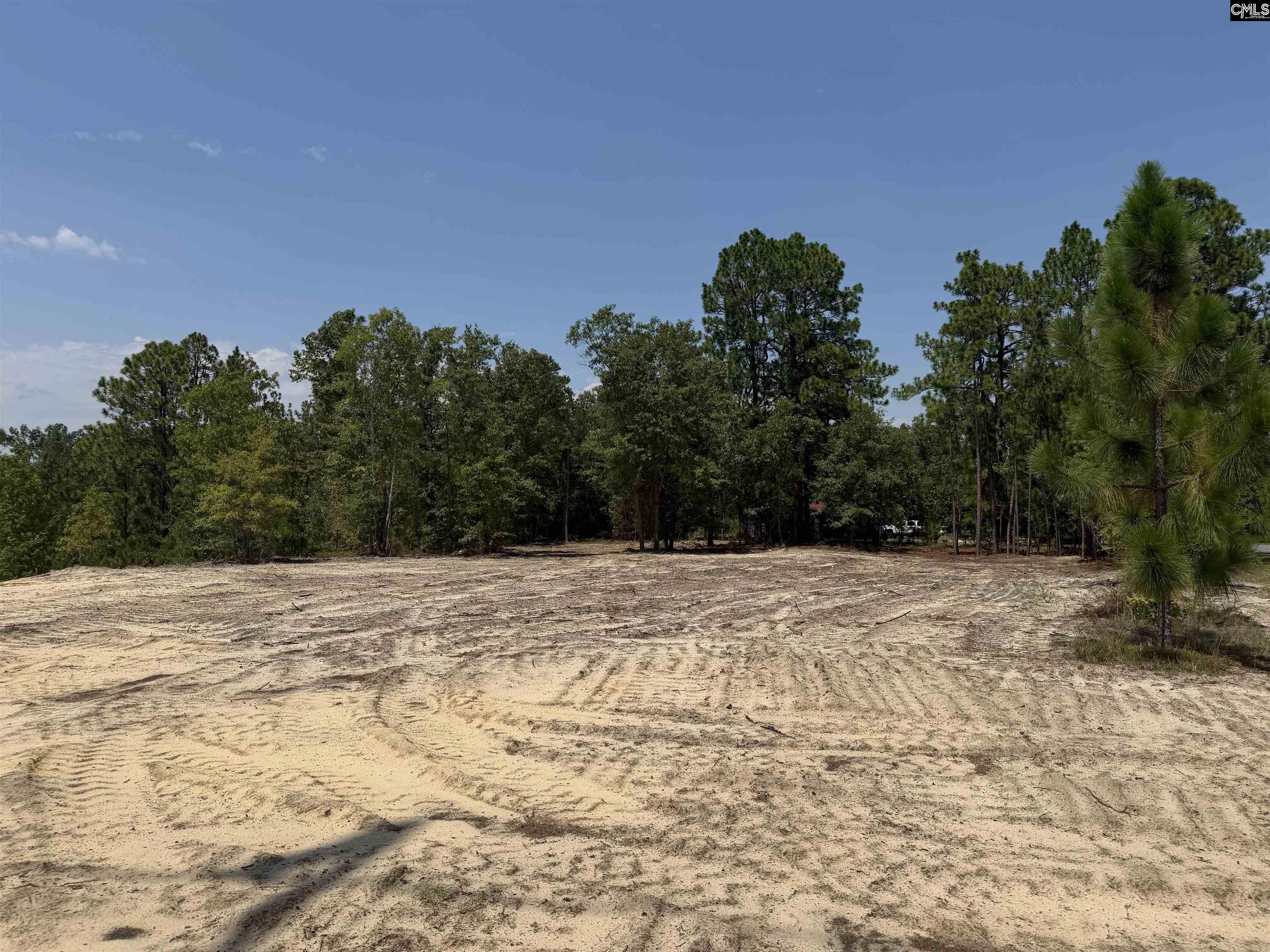 Lot 3 Patrick Highway Hartsville SC 29550