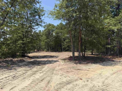 Lot 3 Patrick Highway Hartsville SC 29550