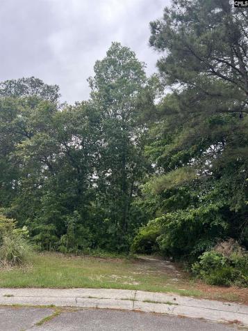 530 Oxford Court Lexington SC 29072