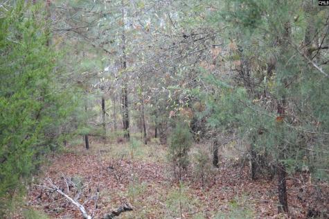 9 Nautical Drive Camden SC 29020