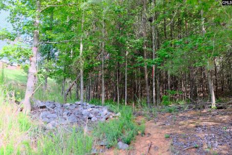 18524 Mainsail Court Lancaster SC 29720