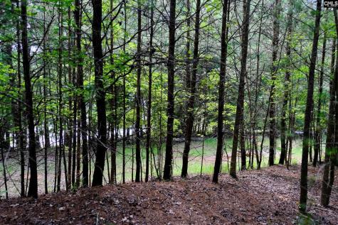 18524 Mainsail Court Lancaster SC 29720