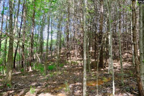 18524 Mainsail Court Lancaster SC 29720