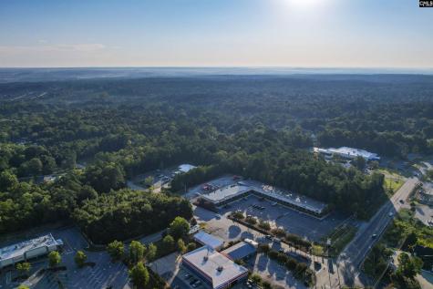 1013 Lykes Lane Irmo SC 29063