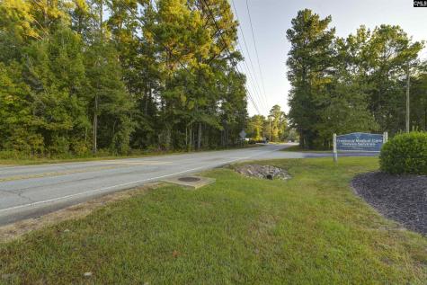 1013 Lykes Lane Irmo SC 29063