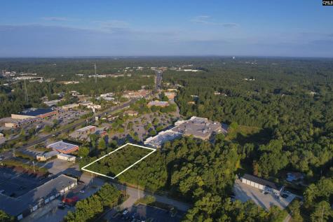 1013 Lykes Lane Irmo SC 29063