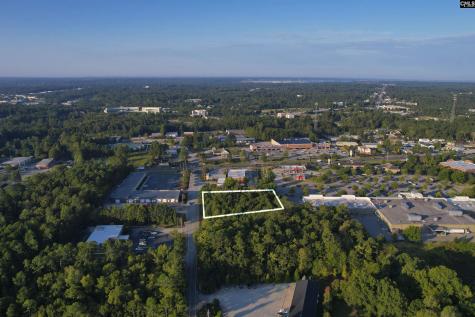 1013 Lykes Lane Irmo SC 29063