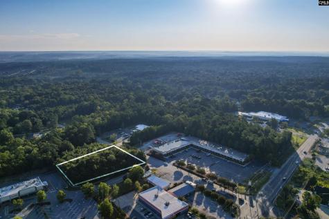 1013 Lykes Lane Irmo SC 29063