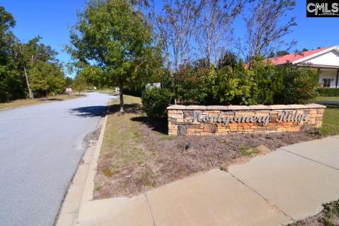 2 Blythe View Court Blythewood SC 29016