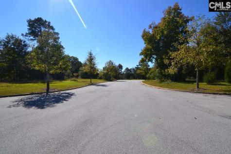 2 Blythe View Court Blythewood SC 29016