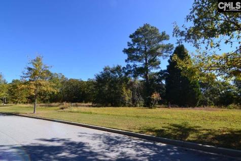 2 Blythe View Court Blythewood SC 29016