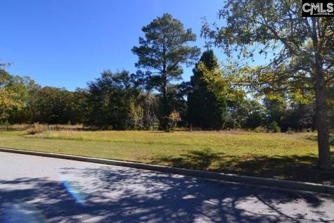 2 Blythe View Court Blythewood SC 29016
