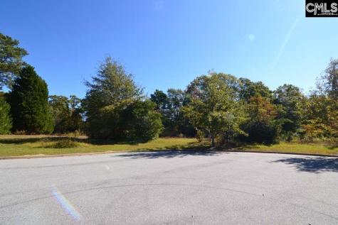 2 Blythe View Court Blythewood SC 29016