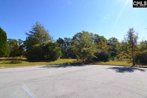2 Blythe View Court Blythewood SC 29016