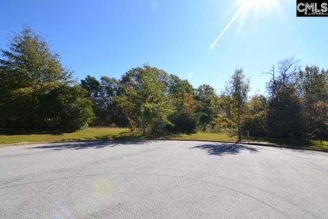 2 Blythe View Court Blythewood SC 29016