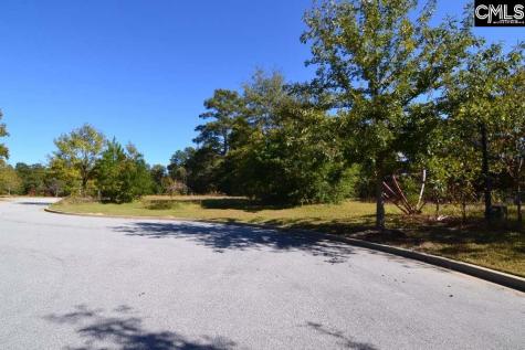 2 Blythe View Court Blythewood SC 29016