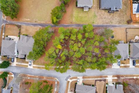 113 Playground Road Blythewood SC 29016