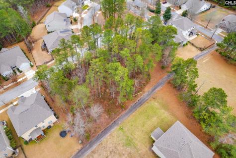 113 Playground Road Blythewood SC 29016