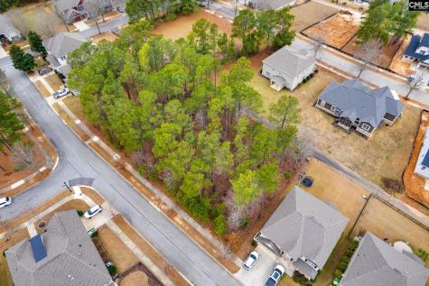 113 Playground Road Blythewood SC 29016