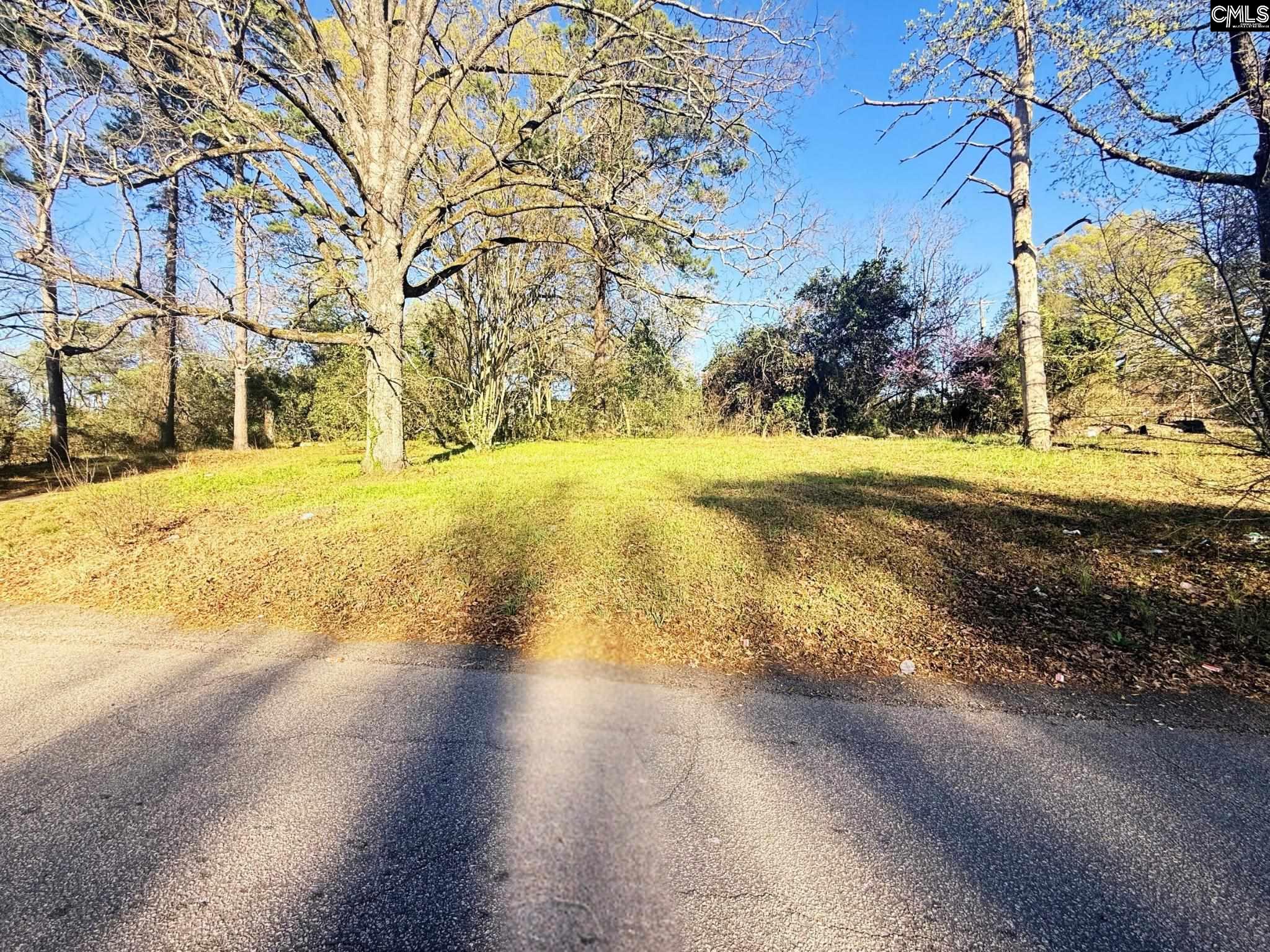 113 Duke Avenue Columbia SC 29203