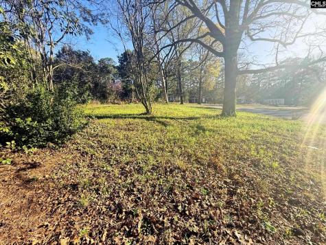 113 Duke Avenue Columbia SC 29203