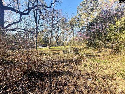 113 Duke Avenue Columbia SC 29203