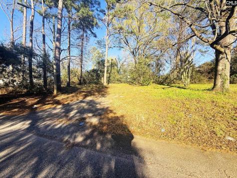 113 Duke Avenue Columbia SC 29203