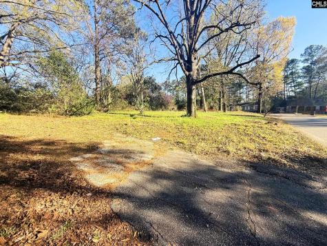 113 Duke Avenue Columbia SC 29203